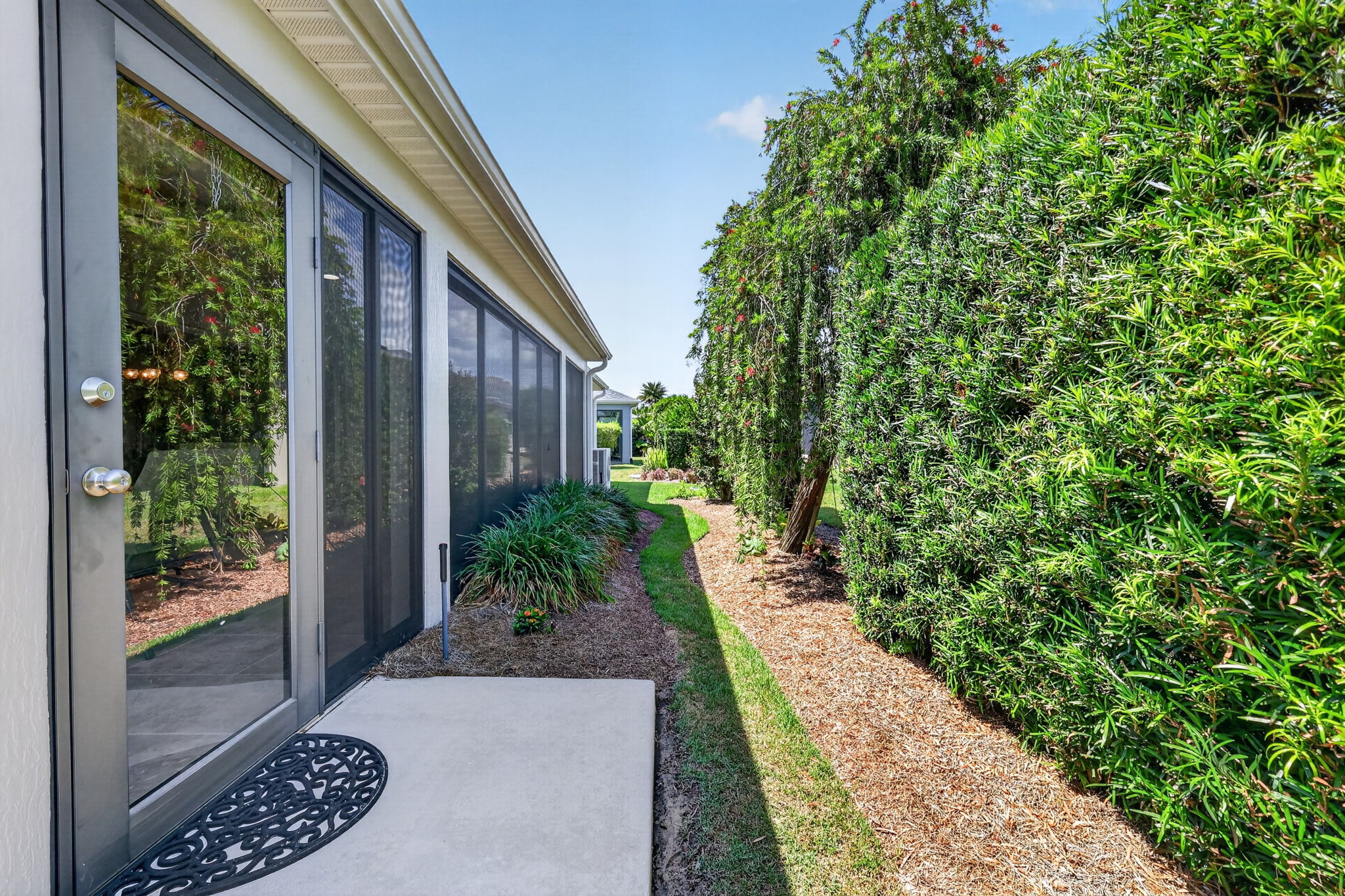 Mature Privacy Landscaping