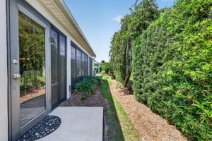 Mature Privacy Landscaping