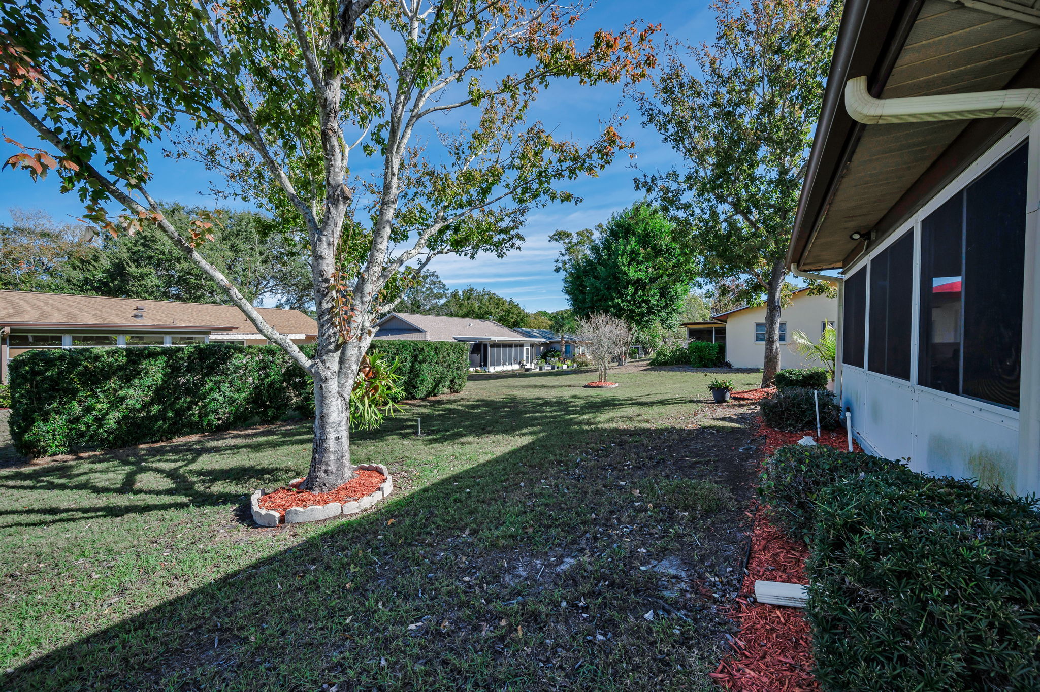 Backyard5