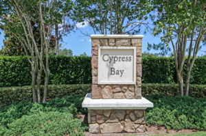 Cypress Bay