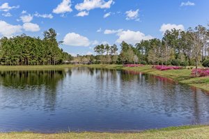 Del Webb