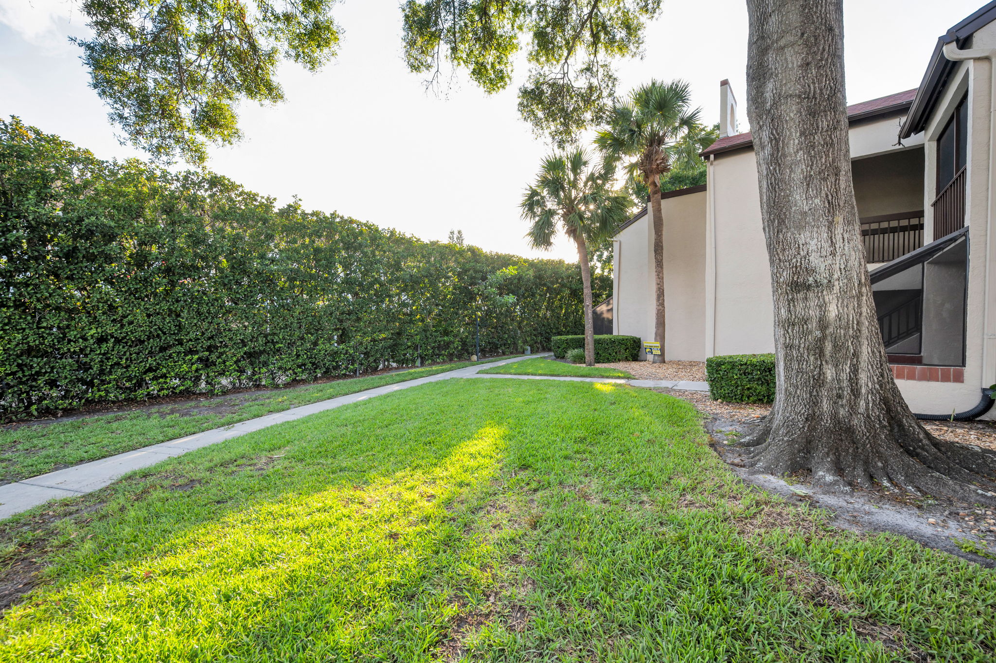 Backyard5