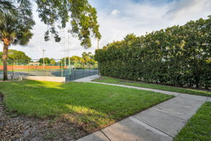 Backyard6