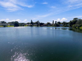 DJI_0429