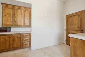 29717 N 141st Pl - 044.jpg