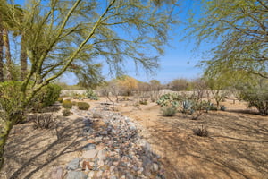 29717 N 141st Pl - 053.jpg