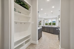 29718 Deer Crst Ln, Richmond, TX 77406-013.jpg