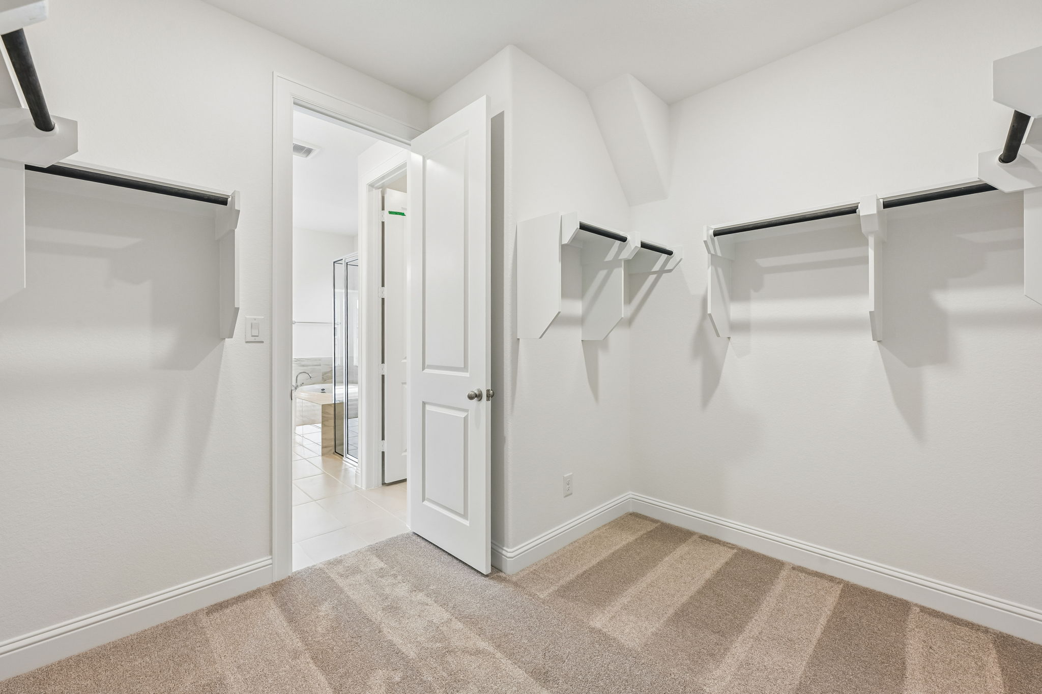 29723 Brushy Gables Dr-S2404-026