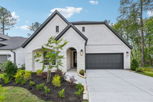 29723 Brushy Gables Dr-S2404-001