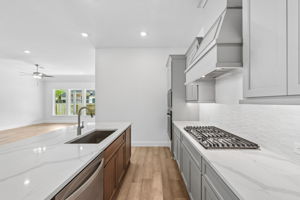 29723 Brushy Gables Dr-S2404-011