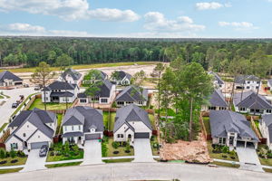 29723 Brushy Gables Dr-S2404-041