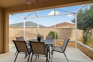 Lanai with Extended Birdcage