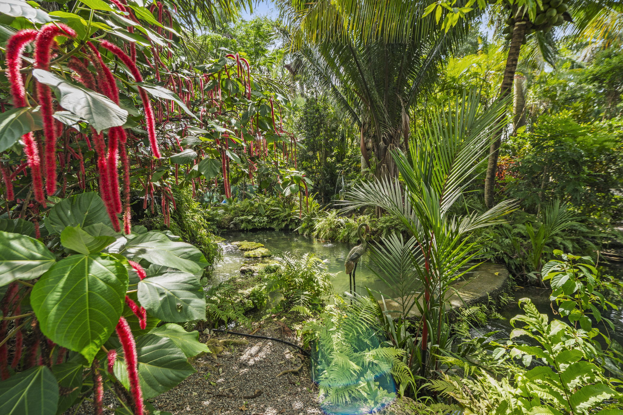 Koi Pond and landscaping