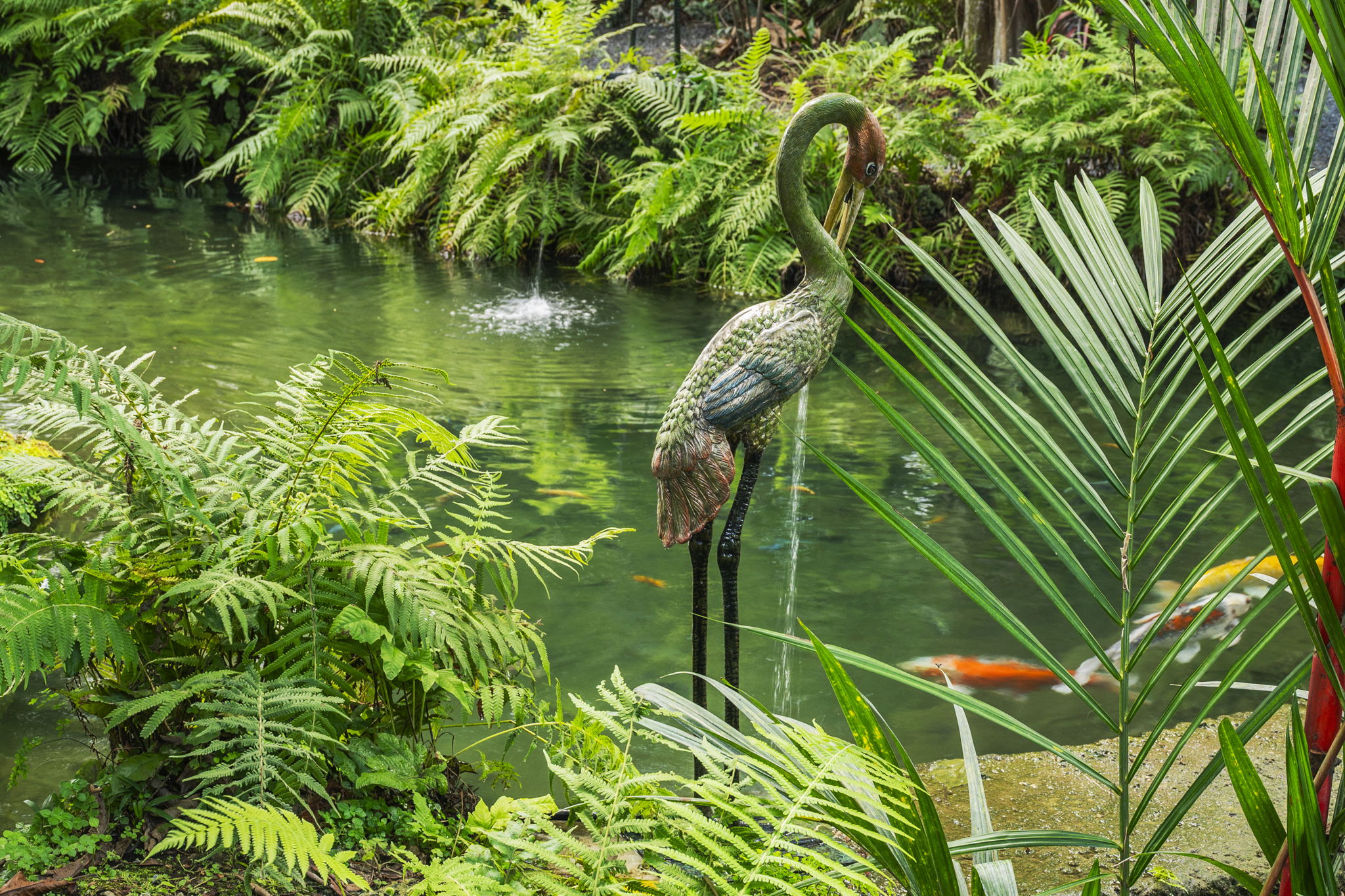 Koi Pond