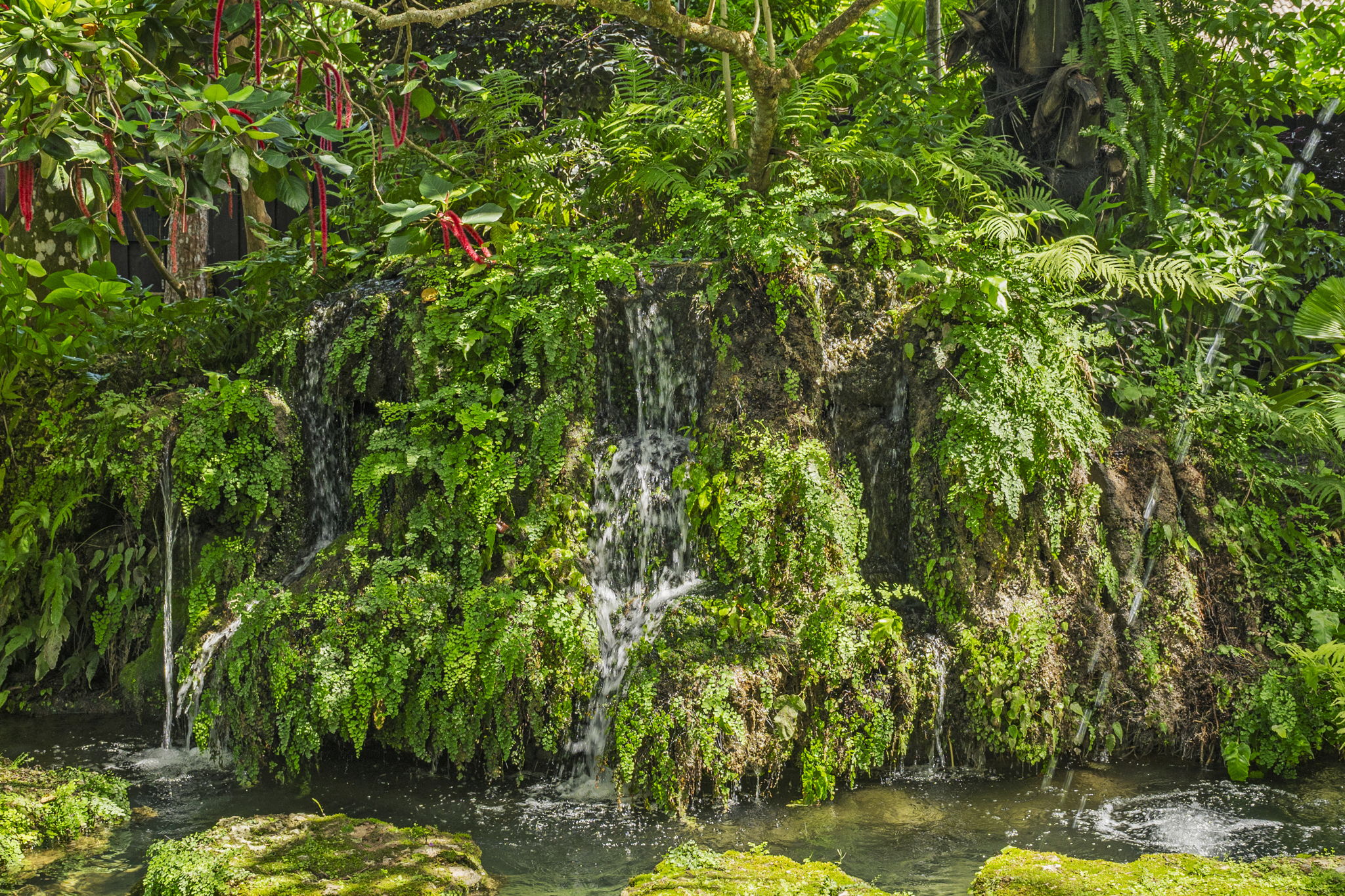 Koi Pond waterfall