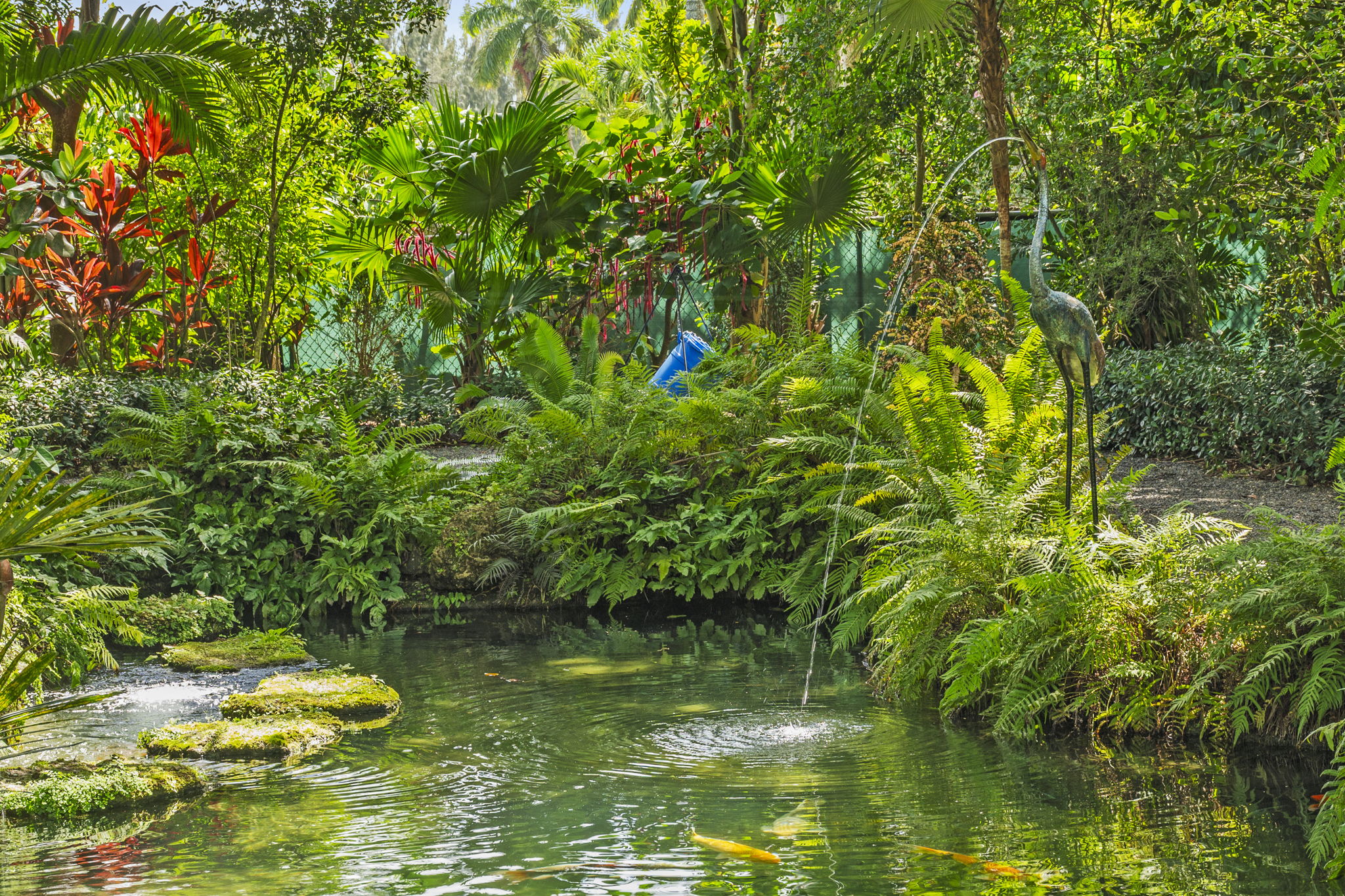Koi Pond