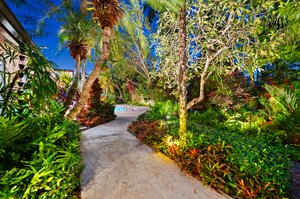 Path by koi pond leading to pool