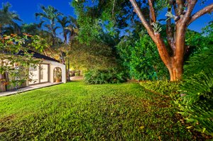 Back yard