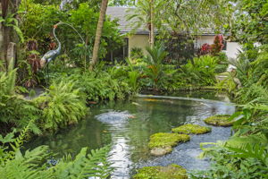 Koi Pond