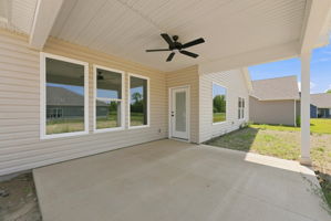  Photo 41