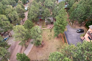 Spruce Rd-S1004-046.jpg