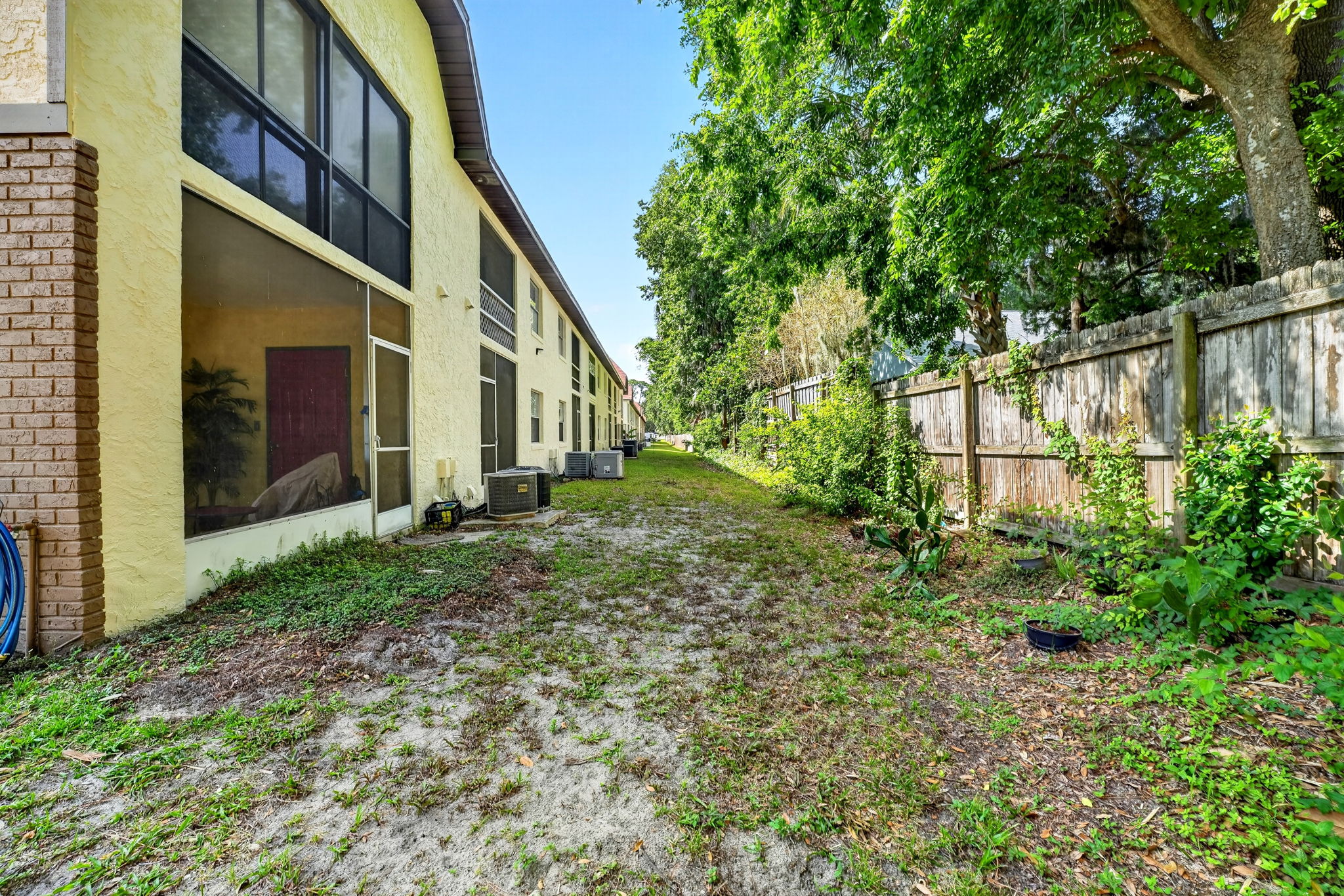 Backyard