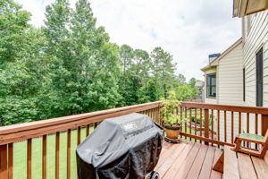  298 Blackberry Run Dr, Dallas, GA 30132, US Photo 13