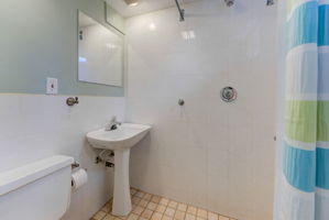 Lower Level - Bathroom