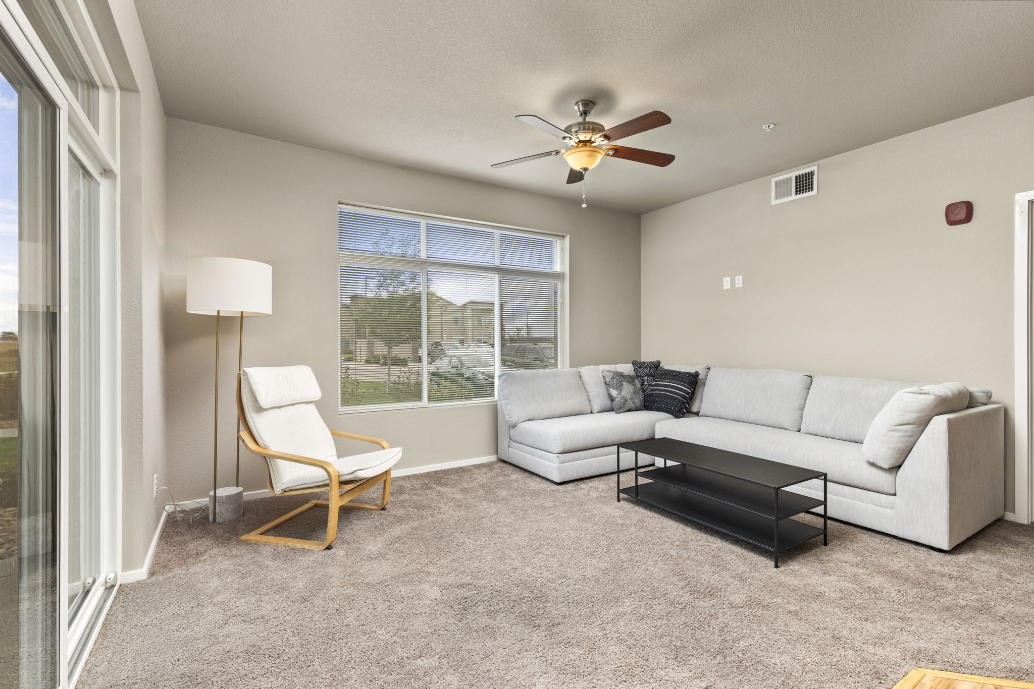 Living Area with Abundant Natural Light