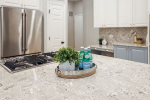 Kitchen CU - 495A2166 (1)