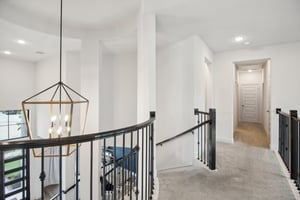 Autumn Maple Ct-034.jpg