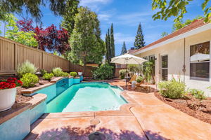 035_2982 Nelson Dr Roseville