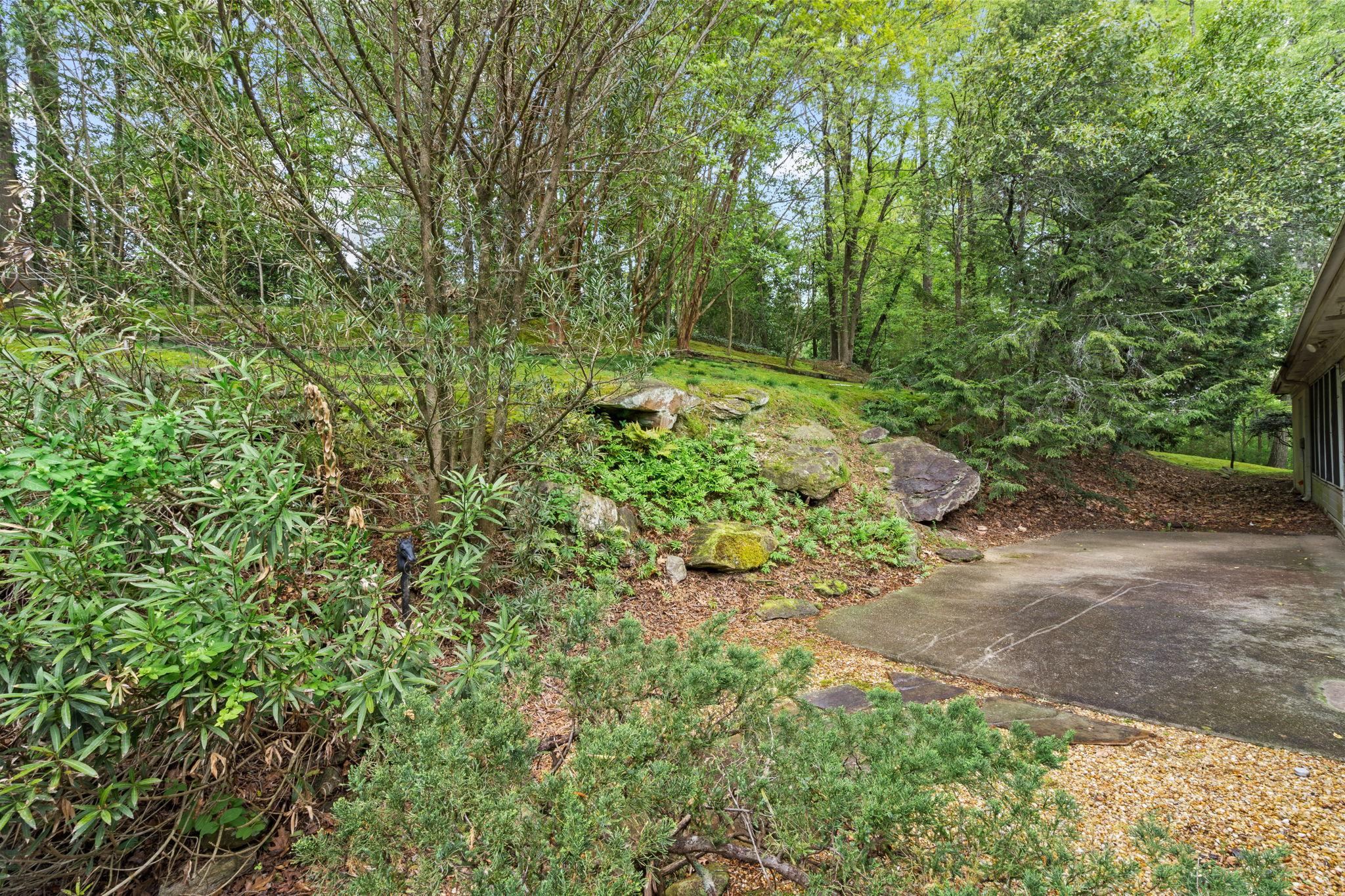  Photo 43