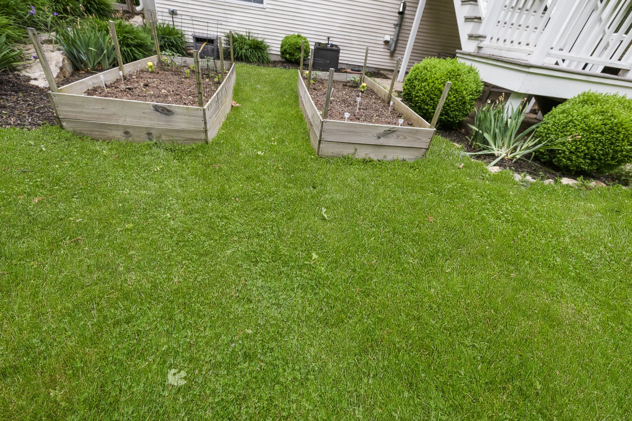  Photo 48