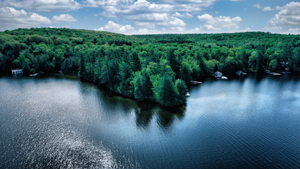 2991 Muskoka District Road 117, Baysville, ON P0B 1A0, Canada Photo 0