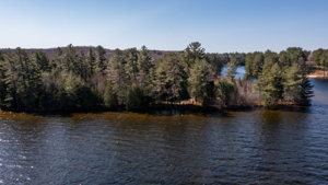 2991 Muskoka District Road 117, Baysville, ON P0B 1A0, Canada Photo 5