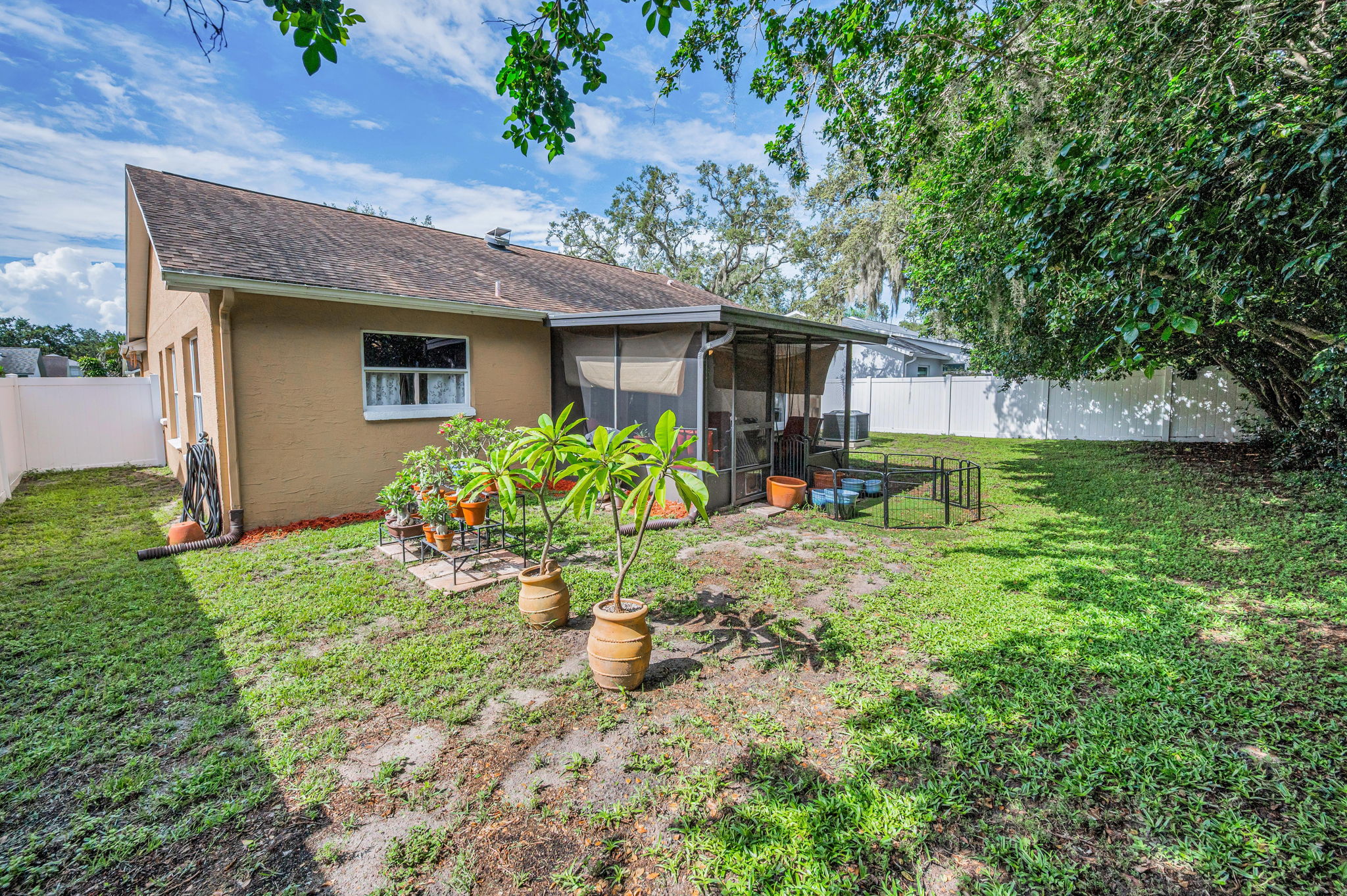 Backyard1