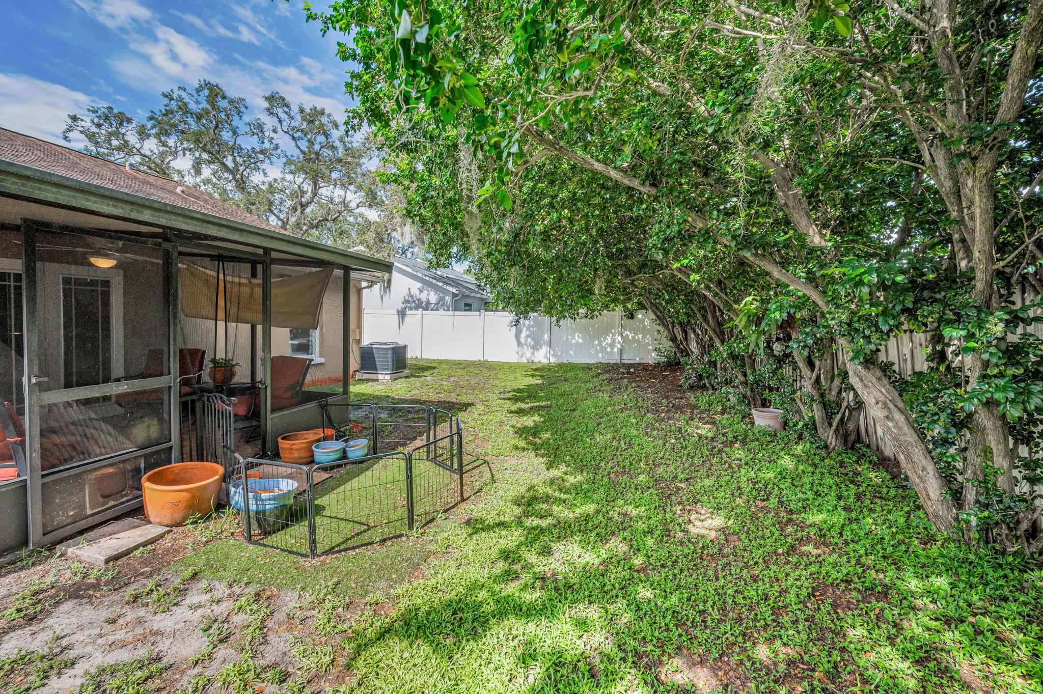 Backyard3