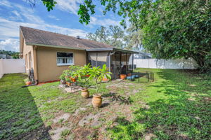 Backyard1