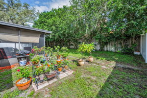 Backyard2