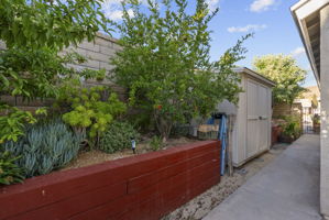  Photo 36