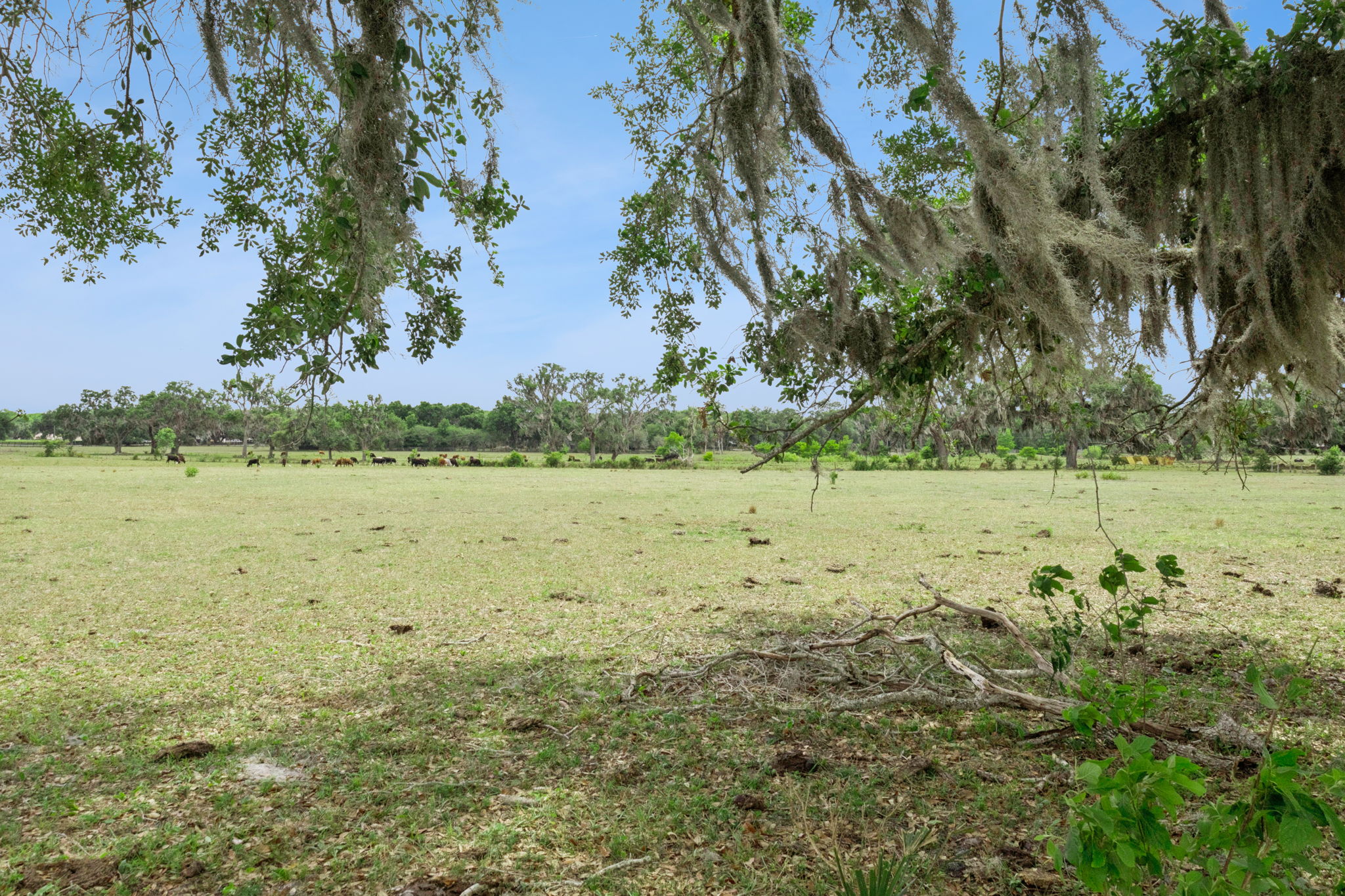 Photo 32