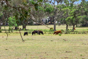  Photo 30