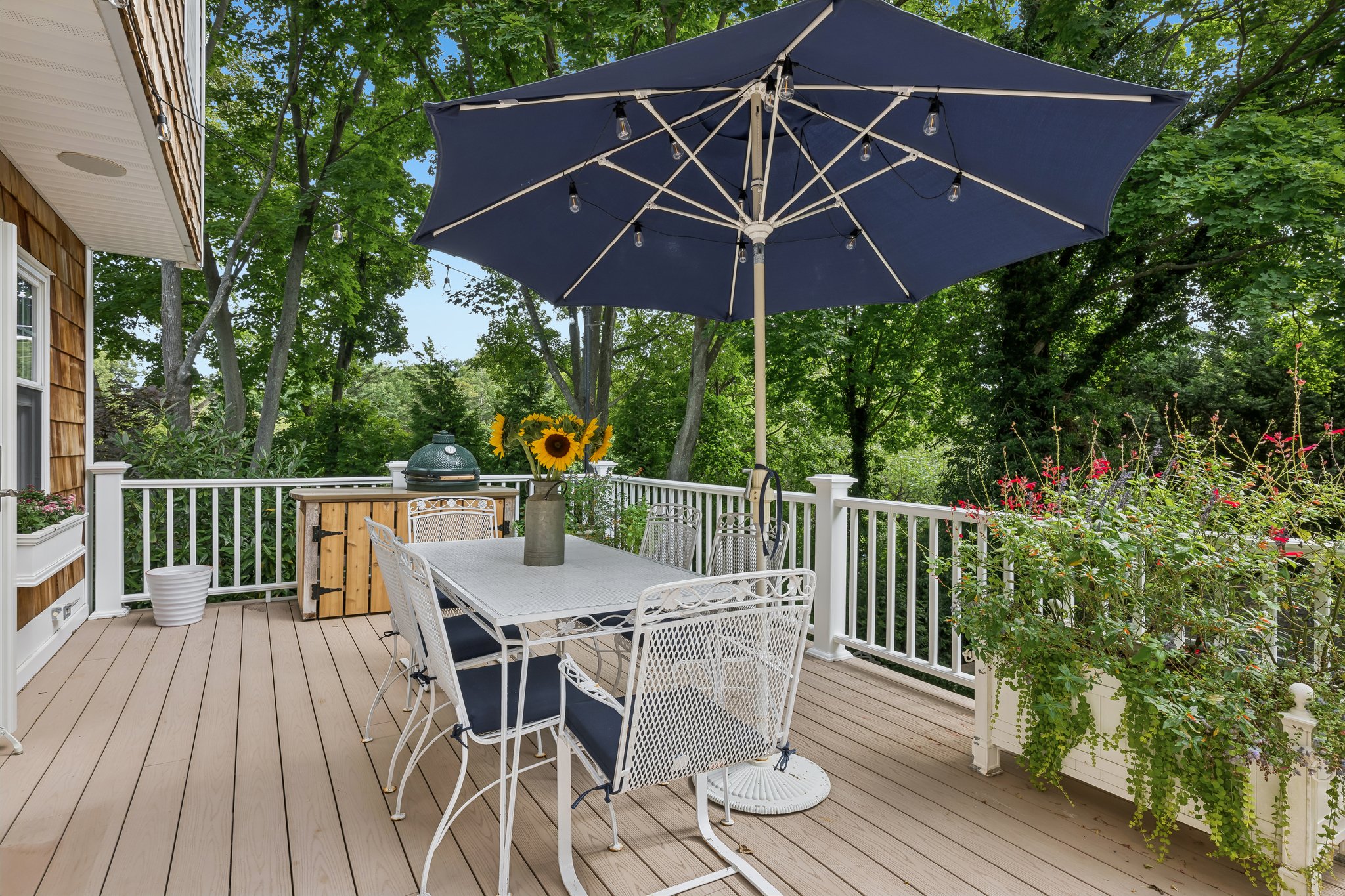 Andiron Ln-S2009-052.jpg