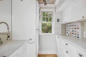 Andiron Ln-S2009-024.jpg