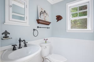 Andiron Ln-S2009-026.jpg