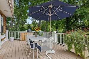 Andiron Ln-S2009-052.jpg