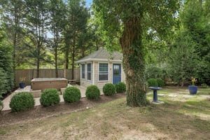 Andiron Ln-S2009-057.jpg