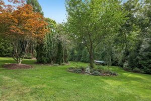 Andiron Ln-S2009-061.jpg