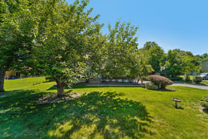 Bittman Ln-S0506-001.jpg
